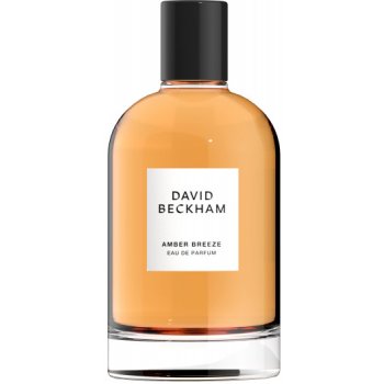 David Beckham Amber Breeze parfémovaná voda pánská 100 ml