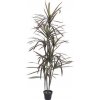 Květina Umělá palma Dracena rozvětvená, 180 cm