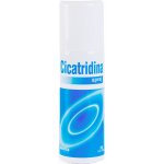 Cicatridina sprej 125 ml – Zboží Dáma