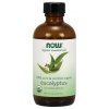 kuchyňský olej NOW Essential Oil Eucalyptus oil éterický olej Eukalyptus 118 ml