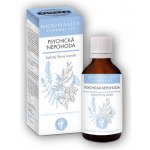 Green idea Psychická nepohoda bezlihová tinktura 100 ml – Hledejceny.cz
