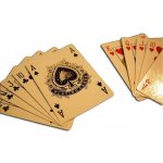 Garthen 525 Poker karet No92 100% plast Sada 2 ks – Zboží Mobilmania