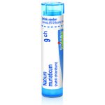 NATRUM MURIATICUM POR 9CH GRA 1X4G – Hledejceny.cz