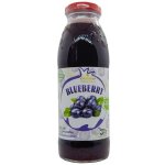 Georgian Borůvkový 100% džus Nectar 300 ml – Hledejceny.cz