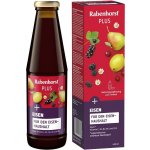 Rabenhorst Šťáva se železem Eisenblunt 450 ml – Sleviste.cz