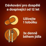 ESSENTIALE POR 300MG CPS DUR 100 – Zboží Mobilmania