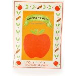 Boles d´olor Vonný sáček kapesní malý papírový 5,5 x 7,5 x 0,3 cm Manzana y Canela – Hledejceny.cz