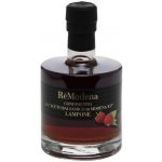 ReModena Ocet balzamikový malinový 250 ml – Zboží Dáma