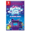 Hra na Nintendo Switch Arcade Game Zone