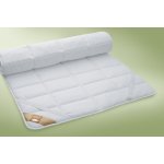 Ložnice21. Podložka Bamboo proti nadměrnému pocení 250 g/m² 100x200 – Sleviste.cz