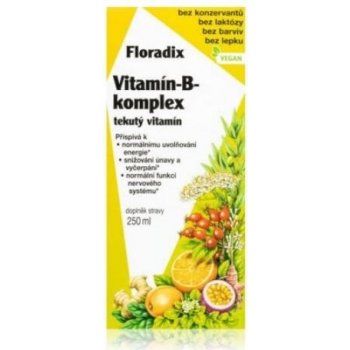 Floradix Vitamin B-Komplex 250 ml