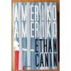 Kniha Ameriko, Ameriko - Ethan Canin