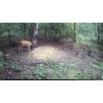 OXE Viper – Zboží Živě