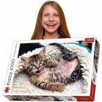 Trefl 10448 Veselé kotě 1000 dílků – Hledejceny.cz