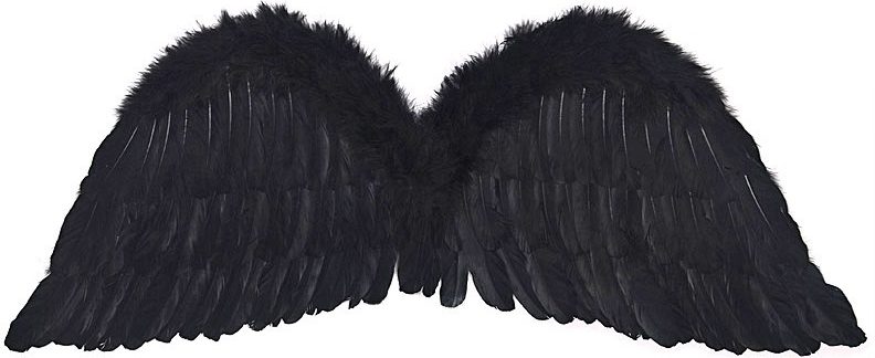 Křídla andělská černá 75 x 30 cm