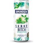 Amundsen + Soda bezinka 6% 0,25 l (plech) – Sleviste.cz