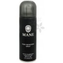 Mane sprej pro dodání hustoty řídnoucím vlasům Stříbrná (Silver) 200 ml