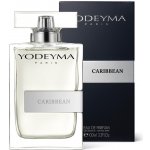 Yodeyma Caribbean parfémovaná voda pánská 100 ml – Zboží Dáma