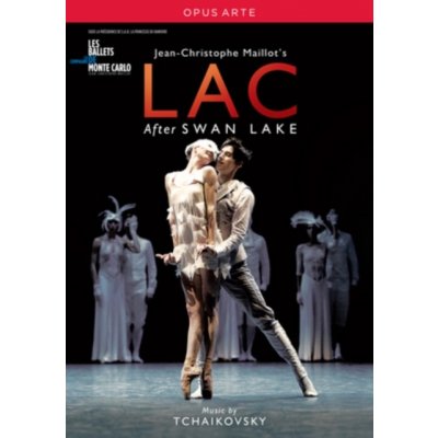 Lac After Swan Lake: Les Ballets De Monte Carlo DVD – Zbozi.Blesk.cz