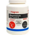 Fagron Magnesium 500 + vit.B6 100 tablet – Hledejceny.cz