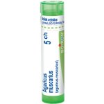 AGARICUS MUSCARIUS POR 5CH GRA 1X4G – Hledejceny.cz
