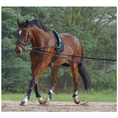 WALDHAUSEN Lonžovací postroj black – Zboží Mobilmania