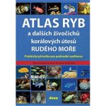 Atlas ryb a dalších živočichů korálových útesů Rudého moře – Zboží Mobilmania