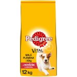 Pedigree Adult Mini s hovězím a zeleninou 2 x 12 kg – Hledejceny.cz