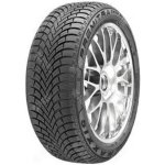 Maxxis Premitra Snow WP6 205/55 R16 91H – Hledejceny.cz