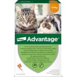 Advantage Spot-on pro malé kočky a králíky 40 mg 1 x 0,4 ml – HobbyKompas.cz