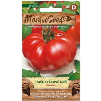 MoravoSeed Rajče tyčkové obří BRUTUS 65306