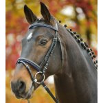 STAR Uzdečka DIAMOND modrá – Zboží Mobilmania