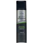 Windsor Sensitive Men pěna na holení 200 ml – Zbozi.Blesk.cz