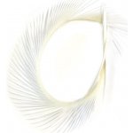 Veniard Husí Biots Goose Biot Strips Bleached White – Hledejceny.cz