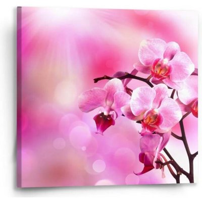 Sablio Obraz Květy orchideje - 50x50 cm