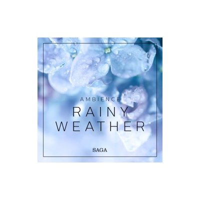 Ambience - Rainy Weather (EN) – Zbozi.Blesk.cz