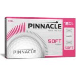 Pinnacle Soft – Zbozi.Blesk.cz