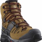 Salomon Quest 4 GTX Desert Black – Hledejceny.cz