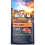 Ontario Puppy Medium Lamb & Brown Rice 6,5 kg – Hledejceny.cz
