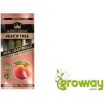 King Palm Rollies palmový blunt peach tree 2 ks – Zboží Dáma