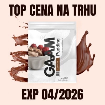 Gaam Pudding vanilka 500 g – Zboží Dáma