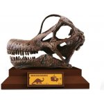Albi Lovci lebek Brachiosaurus – Zboží Dáma