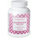 Naturvita Echinacea 500 plus 60 kapslí