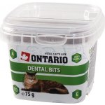 Ontario Snack Cat denta bits 75 g – Hledejceny.cz