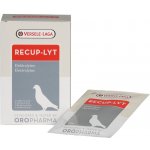 Versele-Laga Oropharma Recup Lyt 240 g – Zboží Dáma