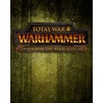 Total War: WARHAMMER - Realm of the Wood Elves Campaign Pack – Hledejceny.cz