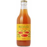 Bacilli fermentovaná limonáda kombucha Maté 330 ml – Sleviste.cz