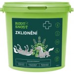 Root&Snoot Zklidnění pro koně sypaná směs 1 kg – Hledejceny.cz