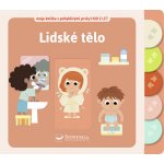 Lidské tělo - moje knížka s pohyblivými prvky - Ilaria Falorsi – Hledejceny.cz
