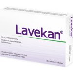 LAVEKAN POR 80MG CPS MOL 28 – Hledejceny.cz